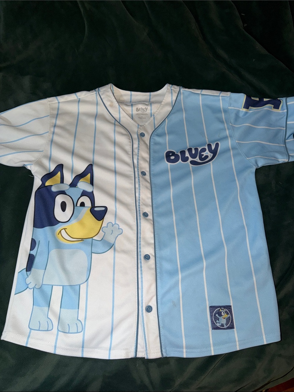 Bluey Jersey Shirt